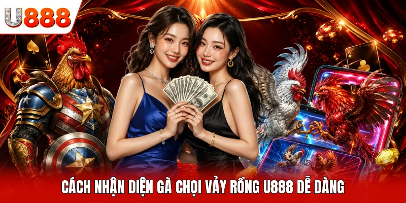 Cách nhận diện gà chọi vảy rồng U888 dễ dàng